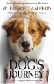 Go to record A dog's journey