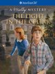 Go to record The light in the cellar : a Molly mystery